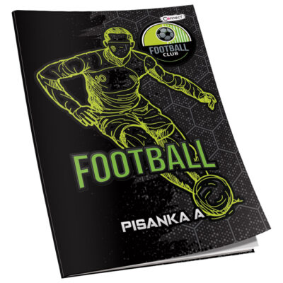 Pisanka A Premium Connect Boy