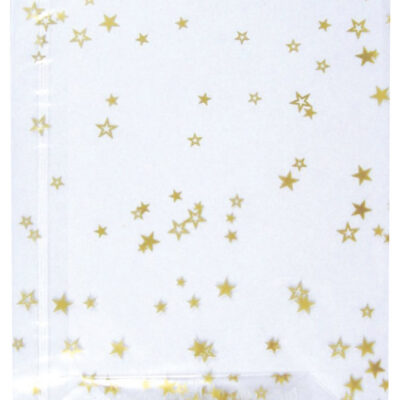 Vrećice ukrasne celofan 9,5x16cm sa zvjezdicama pk10 Heyda prozirne
