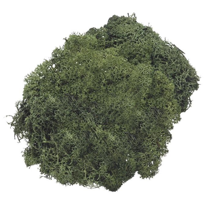 Mahovina islandska umjetna 50g Knorr Prandell zelena