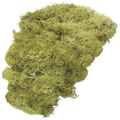 Mahovina islandska umjetna 50g Knorr Prandell svijetlozelena